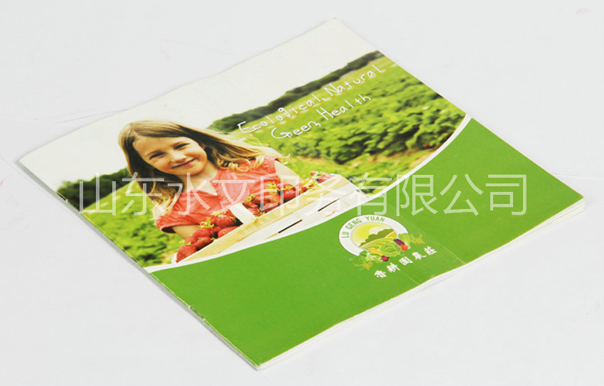 宣傳畫冊(cè)印刷定制