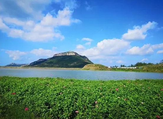 “領(lǐng)跑”高新技術(shù)企業(yè)！“水發(fā)力量”聚焦科技創(chuàng)新