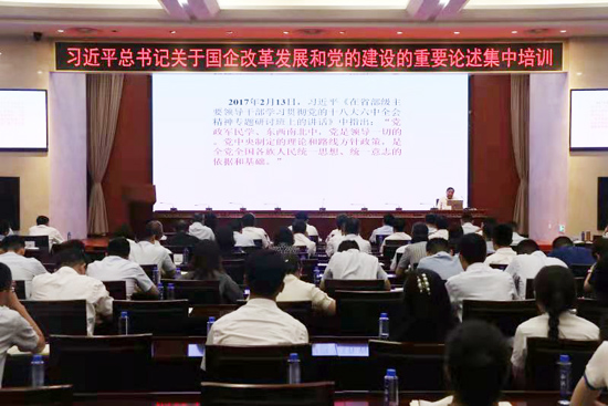 水發(fā)集團(tuán)組織習(xí)近平總書(shū)記關(guān)于國(guó)企改革發(fā)展和黨的建設(shè)重要論述集中培訓(xùn)