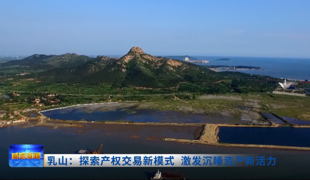 山東農(nóng)交中心：探索產(chǎn)權(quán)交易新模式 激發(fā)沉睡資產(chǎn)新活力