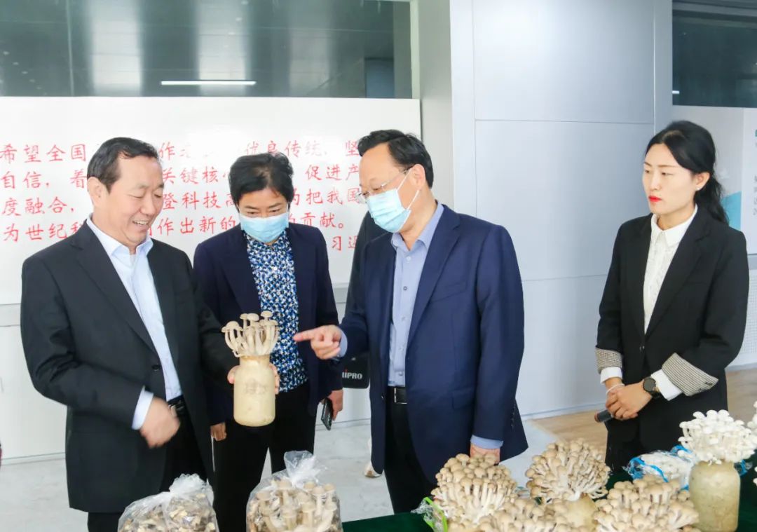 山東省政協(xié)副主席劉均剛到農(nóng)發(fā)菌業(yè)調(diào)研